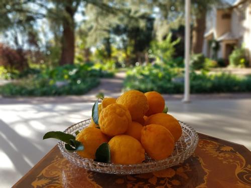 波切夫斯特鲁姆A Country Garden Guest House的坐在桌子上一碗橙子