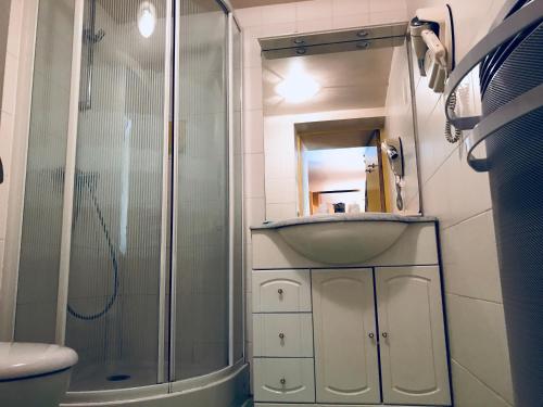 BedousChez Michel的一间带水槽和淋浴的浴室