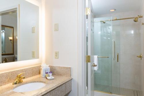 巴吞鲁日The Cook Hotel & Conference Center的一间带水槽和淋浴的浴室