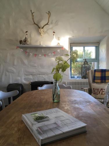 DoogortThe Old Beach Cottage, Achill的木桌上的书,花瓶