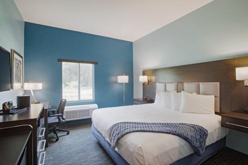 萨凡纳鸢尾花园酒店的酒店客房设有一张大床和一张书桌。