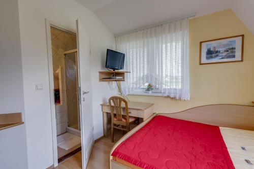 戈雷尼斯卡地区采尔克列贾纳公寓酒店的一间卧室配有一张床、一张书桌和一台电视