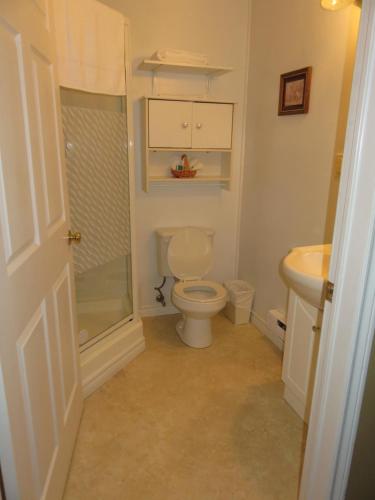 CormackLush's Cottages的浴室配有卫生间、淋浴和盥洗盆。