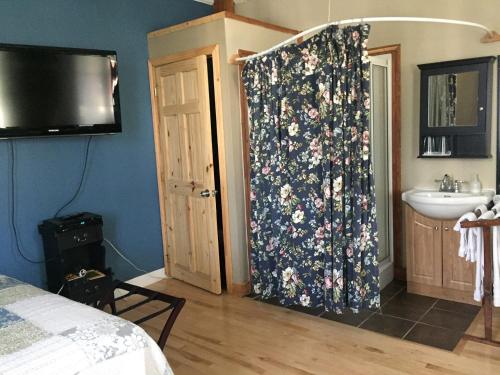 Saint-André-Avellin吉尔安住宿加早餐旅馆的一间卧室配有花卉淋浴帘和水槽