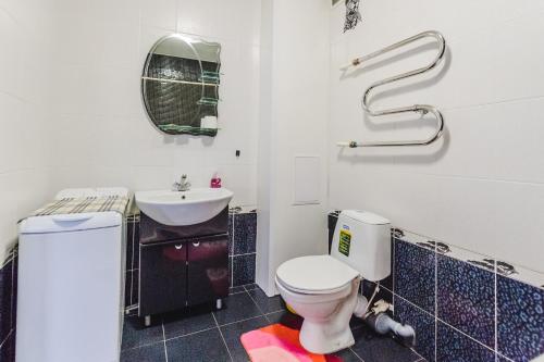 赤塔Dekabrist Apartment Belika 13的一间带卫生间和水槽的浴室