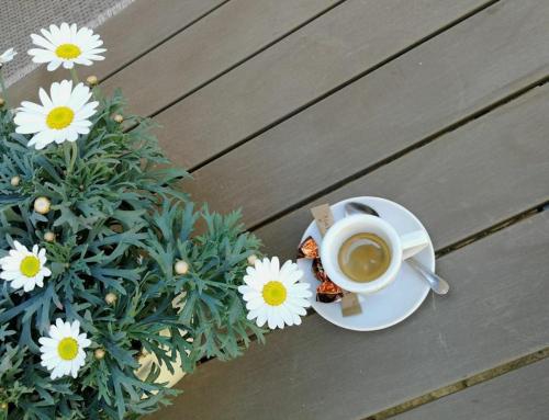 OsluševciGostilna Marta的坐在桌子上一边喝咖啡一边种着鲜花