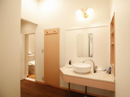 南淡路市Awajishima Hotel Lodge GREEN COZY的一间带水槽和镜子的浴室