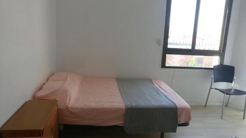 毕尔巴鄂Bilbao habitaciones的一间卧室配有一张床、一张桌子和一个窗户。