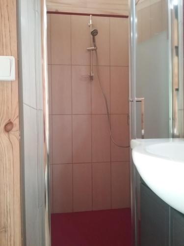RigaudL'arberc的带淋浴和盥洗盆的浴室