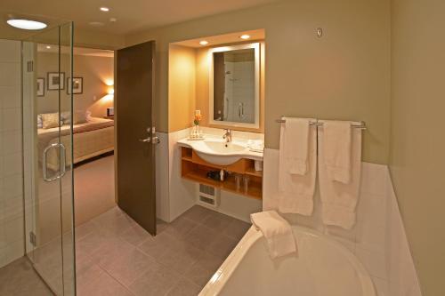 福克斯冰川荣誉福克斯冰河 - 蒂维希卡精品酒店的带浴缸、水槽和淋浴的浴室