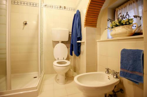 特拉西梅诺湖畔帕西尼亚诺casa vacanze passignano的浴室配有卫生间、淋浴和盥洗盆。