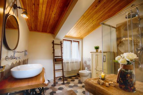 拉奎拉Il Piccolo Tibet - Gran Sasso的一间带大水槽和卫生间的浴室