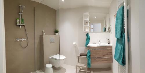 德科赫Duin en Zee Texel的带淋浴、卫生间和盥洗盆的浴室