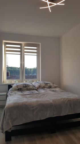 米科瓦伊基Apartament ULA的一间卧室设有一张大床和两个窗户。