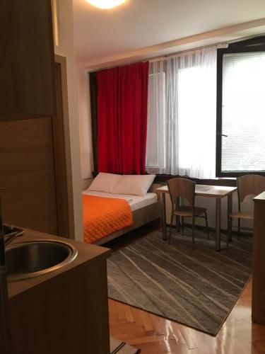 卢布尔雅那Studio apartment Sisters3的酒店客房设有床、桌子和水槽