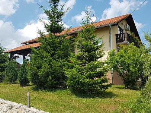 拉科维察佩特拉酒店的前面有树木的房子