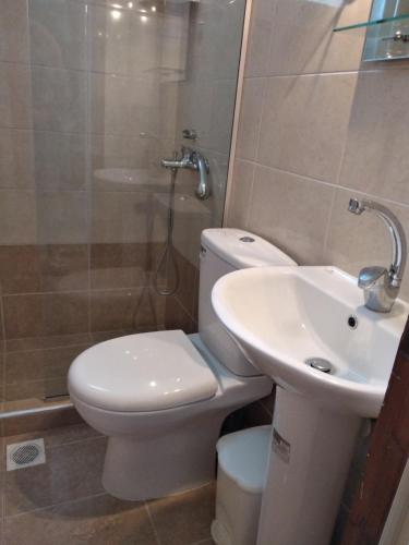 托罗尼Velikis Apartments的一间带卫生间和水槽的浴室