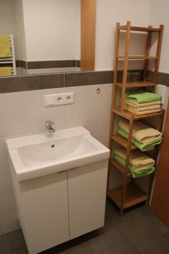 萨尔茨堡附近霍夫斯特梅格农场酒店的浴室设有水槽和带毛巾的架子。
