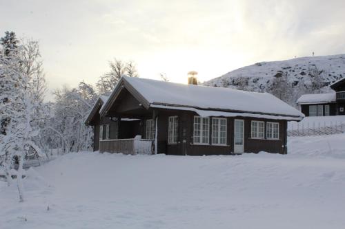 GolsfjelletBergestua - 4 bedroom cabin的雪屋