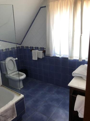 桑托尼亚La Mies del Marqués的蓝色瓷砖浴室设有卫生间和水槽