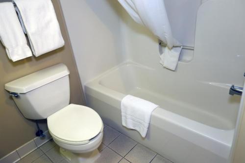 罗切斯特罗切斯特南卡尔森乡村套房酒店的浴室配有白色卫生间、浴缸和水槽。