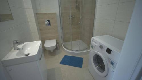 詹塔尔Bursztynowy Apartament的一间带洗衣机和水槽的浴室