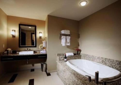 塔尔萨The Mayo Hotel的带浴缸和盥洗盆的大浴室