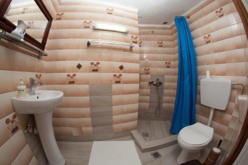 卡利塞亚-豪客迪克斯Delfini的浴室配有卫生间、盥洗盆和淋浴。