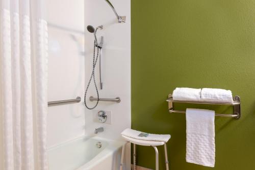 新费城荷兰山谷贝斯特韦斯特酒店的绿色浴室设有淋浴和白色浴缸。