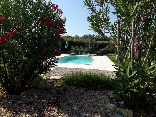 图雷特La Colombe的花园中种有树木和鲜花的游泳池