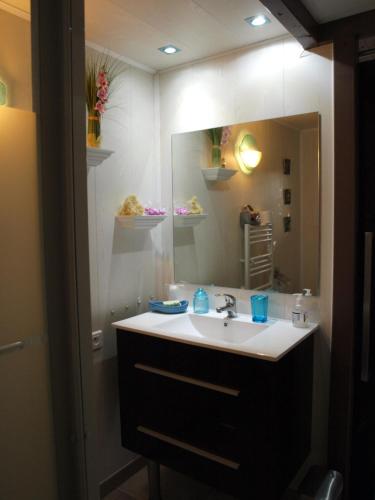 波尔蒂乔Le petit chalet的一间带水槽和镜子的浴室
