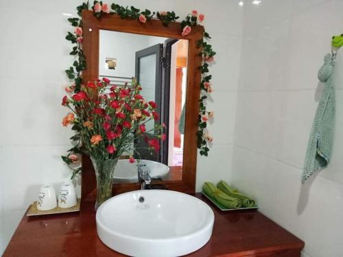 峰牙Phong Nha Rice Field Homestay的浴室设有水槽、镜子和鲜花