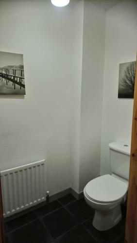 恩尼斯基林Erne View Apartments 1C - Lakeside Apartment Enniskillen的一间带卫生间的浴室,享有码头的图片