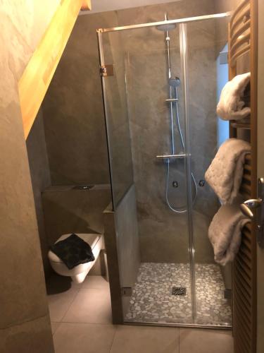 奥尔良Suites du Cabinet Vert的浴室里设有玻璃门淋浴