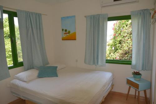 Tal ShaẖarTal Shahar room的一间卧室设有一张床和两个窗户。
