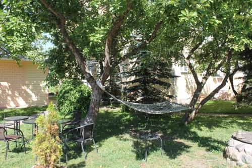 塔林Ecoland Hotel的吊床挂在院子里的树上