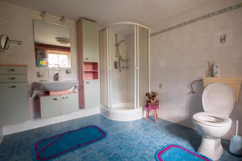 格施尼茨皮尔森霍夫农家乐的浴室配有卫生间、淋浴和盥洗盆。