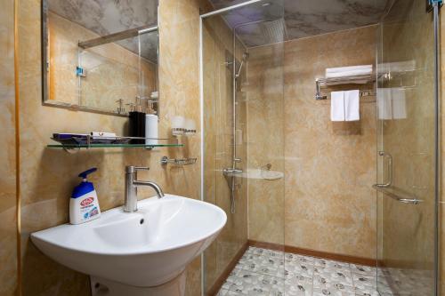 下龙湾Venezia Cruises的一间带水槽和淋浴的浴室