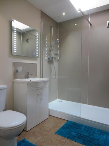 切达The Mendip is on cheddar bridge Apartments的带淋浴、卫生间和盥洗盆的浴室