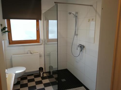 施内沃丁根Apartment am Park - Erica的一间带卫生间和玻璃淋浴间的浴室