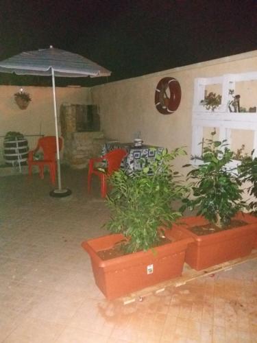 切萨雷奥港Casa Delle Rose的一座种植了两株植物的庭院和一把遮阳伞