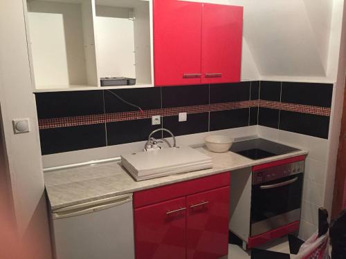 米特洛瓦克Apartment Vila Fila的一间带红色橱柜和水槽的厨房
