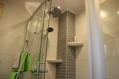 DrognitzFerienhaus Wolfs-Revier的浴室里设有玻璃门淋浴