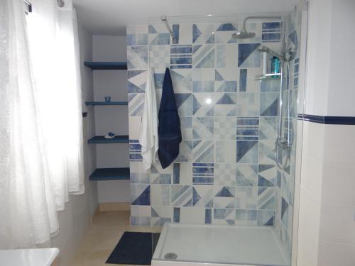 加拉奇科La Casita de Brownie的浴室设有蓝色和白色瓷砖淋浴。