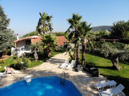 Macchia di Monte拉卡塞塔住宿加早餐酒店的一座带游泳池和棕榈树的房子