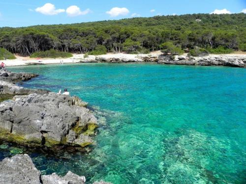 圣伊西多罗Villa Salentina的一片绿松石海水和岩石海滩
