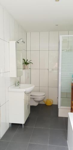 Traumhaftes Apartment in Mönchengladbach Ohler的一间浴室