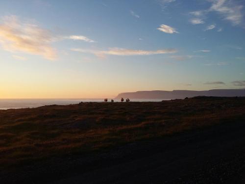Hnjótur翰努维克度假屋的一群人站在靠近海洋的山丘上