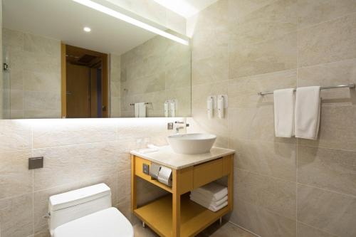 首尔喜普乐吉酒店首尔东大门的一间带水槽、卫生间和镜子的浴室