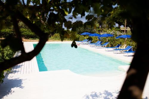 圣多米尼卡B&B Il Cavaliere Tropea的一个带蓝色躺椅和遮阳伞的游泳池